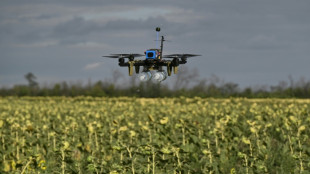 Sci-fi or battlefield reality? Ukraine's bet on drone swarms
