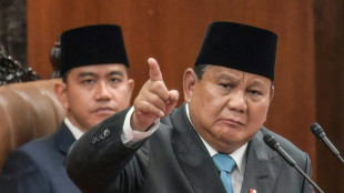 Indonesia's Prabowo announces export controls for coal, palm oil 