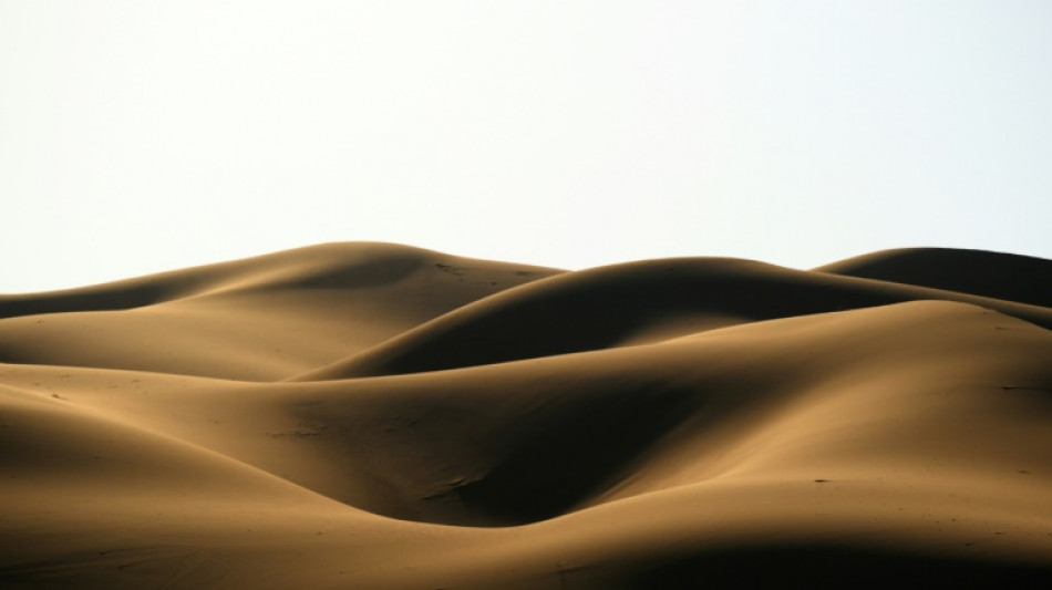 'Be Afraid': Dakar 2023 promises more dunes in Empty Quarter