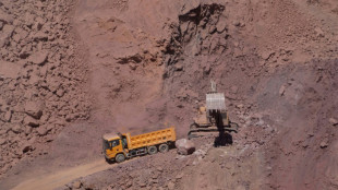 Dans les mines d'Asie centrale, course mondiale aux métaux rares