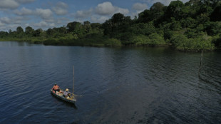 Sequía extrema y aguas con temperatura de jacuzzi diezmaron delfines en Brasil en 2023 (estudio)