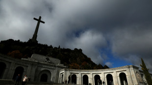 Espagne: 50 ans apr&egrave;s la mort de Franco, Pedro S&aacute;nchez appelle &agrave; "d&eacute;fendre la d&eacute;mocratie"