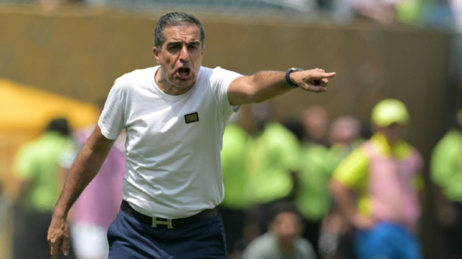 Botafogo demite Renato Paiva após ser eliminado pelo Palmeiras na Copa do Mundo de Clubes