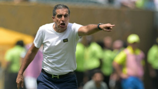 Botafogo demite Renato Paiva após ser eliminado pelo Palmeiras na Copa do Mundo de Clubes