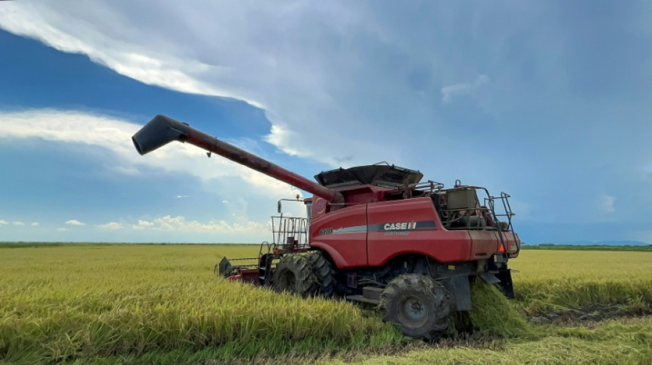 Vietnã na vanguarda do investimento privado estrangeiro no campo cubano