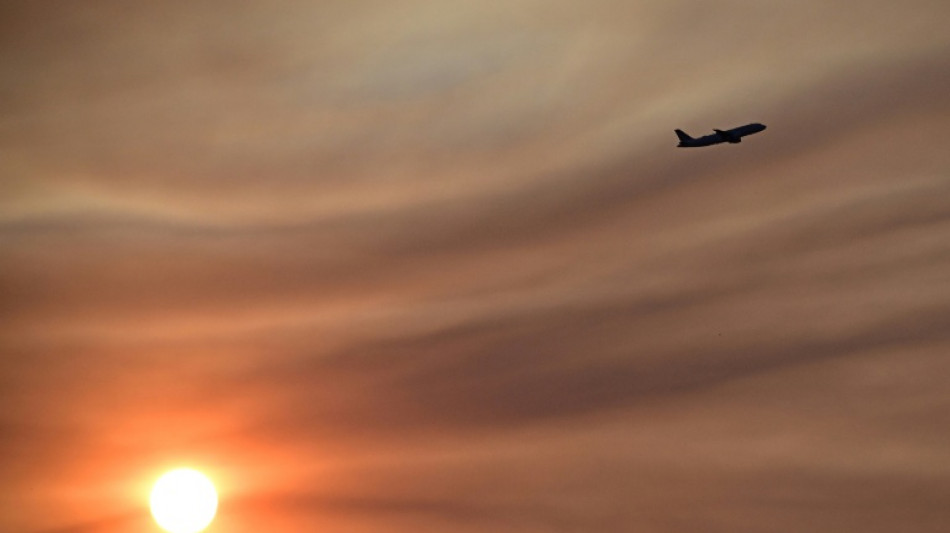 Ticket price hikes not affecting summer air travel demand: IATA