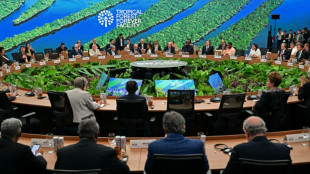 Brasil lanza en Bel&eacute;m un fondo mundial para proteger los bosques tropicales