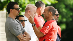 Italie: apr&egrave;s le fils a&icirc;n&eacute;, le fils cadet d'Ibrahimovic aussi sous contrat avec l'AC Milan