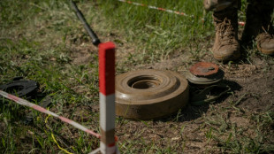 Déminer l'Ukraine, du râteau au drone