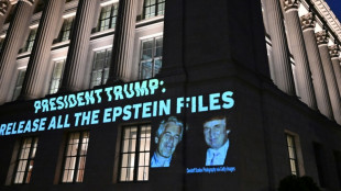 Dans un contexte explosif, le gouvernement américain va interroger la complice d'Epstein
