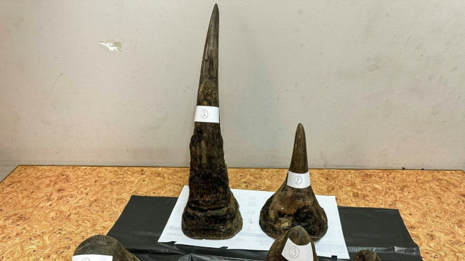 Man arrested in Thailand for smuggling rhino horn inside meat