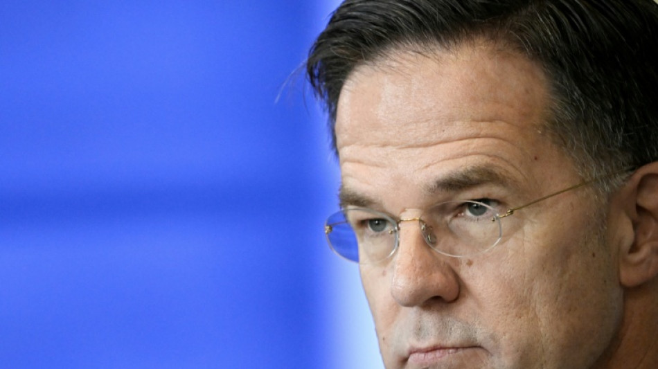 Rutte: Deutsche F&uuml;hrung f&uuml;r kollektive Verteidigung "unerl&auml;sslich"