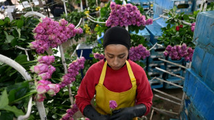 Suspenden temporalmente el mayor aumento del salario m&iacute;nimo en Colombia