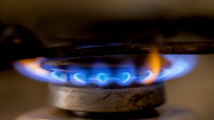 Il prezzo del gas apre in rialzo a 44,91 euro