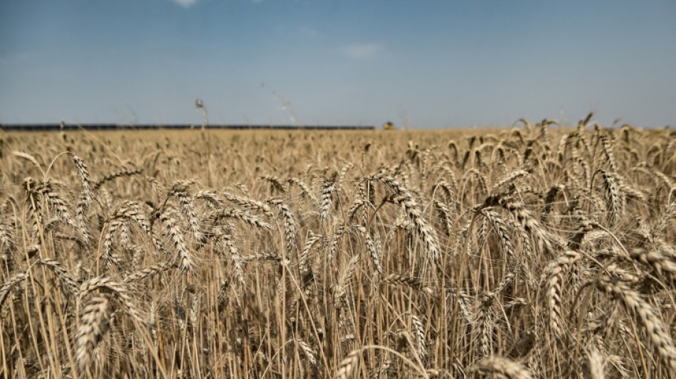 La agricultura debe ser m&aacute;s productiva para eliminar el hambre y contaminar menos