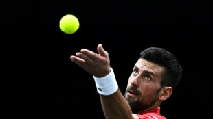 Djokovic confirmed for ATP Finals, says Italian federation boss
