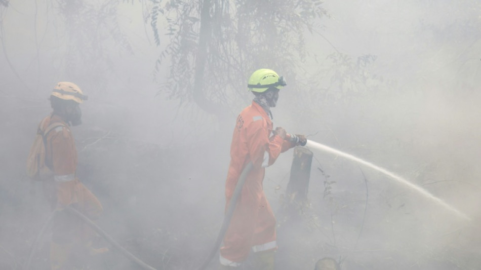 Indonesia doing 'everything' but struggling to curb fires