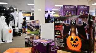 Most markets rise as US producer price data stokes rate cut bets