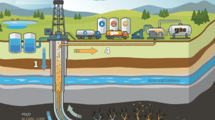 Ambientalista premiada prev&ecirc; 'in&iacute;cio do fim' dos combust&iacute;veis f&oacute;sseis na Col&ocirc;mbia