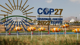 La COP27 se termine sur un bilan contrast&eacute;