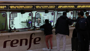 Projekt f&uuml;r Schnellzug Paris-Madrid wird vorl&auml;ufig eingestellt