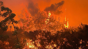 Incendio sul Monte Faeta, nella notte evacuate 3500 persone