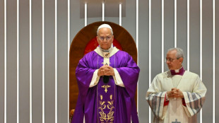 El papa preside su primera misa en Turqu&iacute;a tras visitar la Mezquita Azul