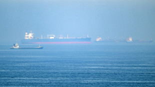 Ormuz : trafic maritime record lundi depuis le d&eacute;but de la guerre