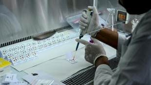 Le N&eacute;pal face au casse-t&ecirc;te de l'identification par ADN des victimes de la crue