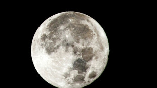 Los cient&iacute;ficos creen que los restos de un cohete se estrellaron contra la Luna 