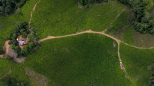 As Colombia goes to the polls, guerrilla violence traumatizes its children